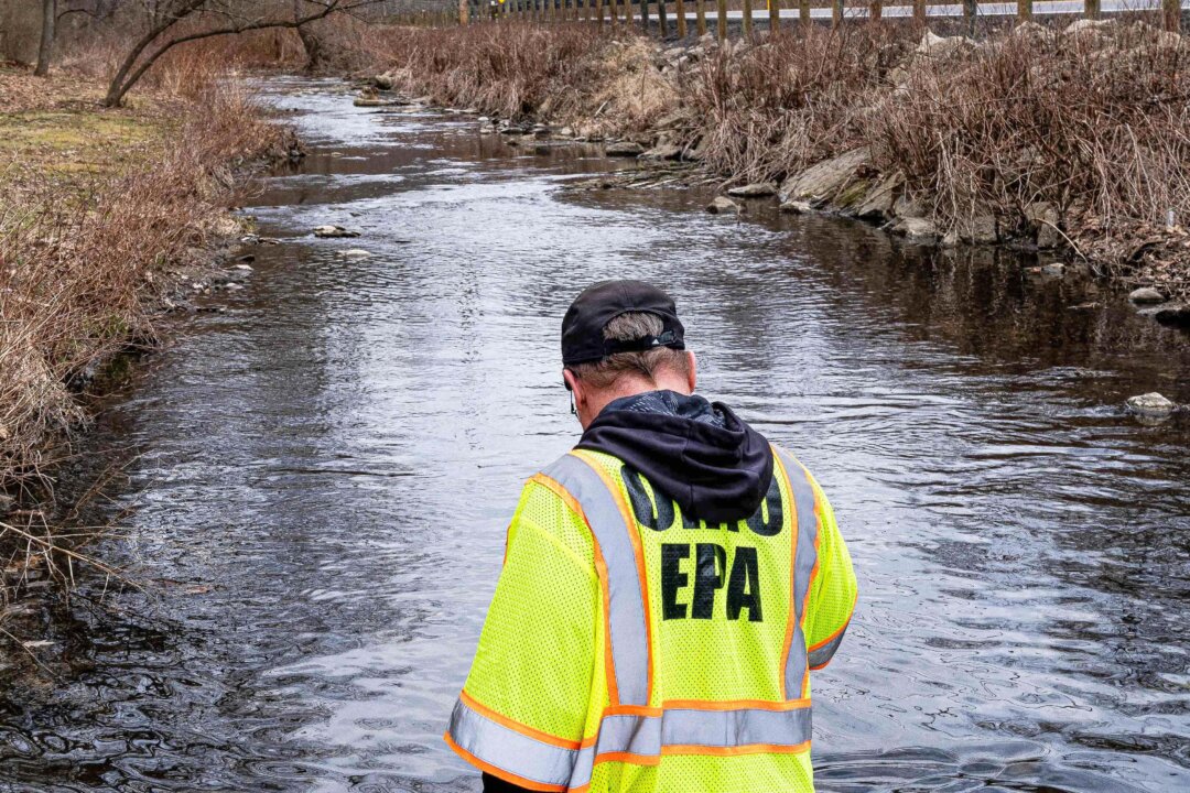 Ron Fodo, Ohio Environmental Protection Agency Emergency Response, looks for signs of fish and agitates the water in Leslie Run creek to check for chemicals in East Palestine, Ohio, on Feb. 20, 2023. (Michael Swensen/Getty Images)