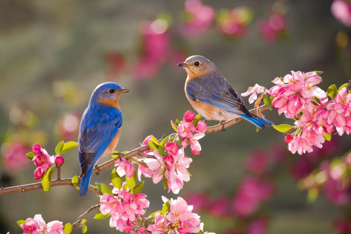 (Quyen Alias/Shutterstock)
