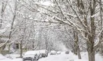 Michelin Recalls Tires That Don’t Have Enough Snow Traction