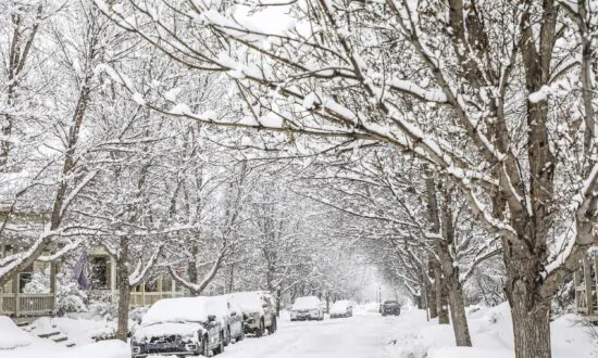 Michelin Recalls Tires That Don’t Have Enough Snow Traction
