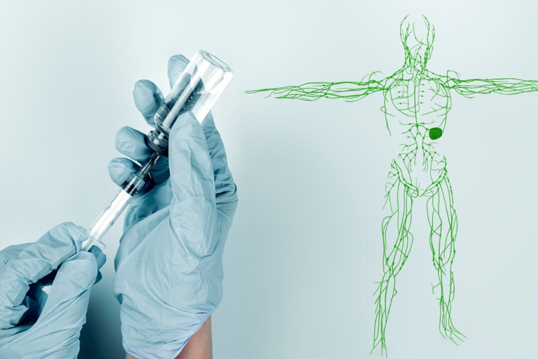 A healthy lymphatic system is essential for detoxification of mRNA vaccines. (The Epoch Times)
