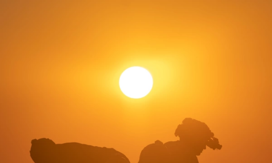 I’m a Veteran, Ask Me Anything (Again)