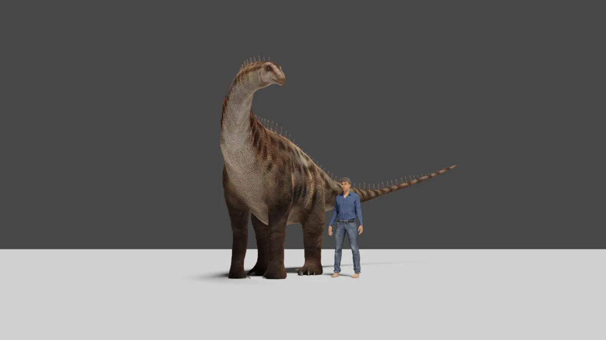 A computer-generated illustration of the 10 metre-long sauropod. (University of Queensland)
