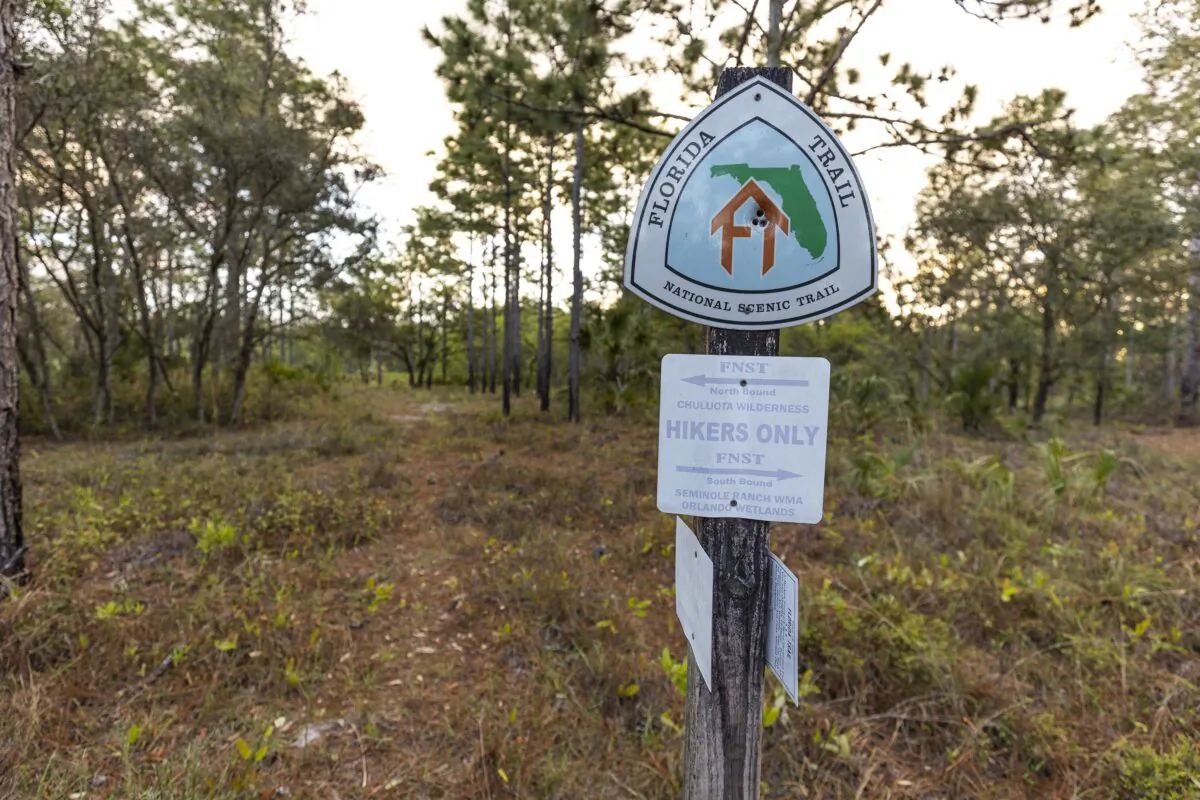 In this March 22, 2023, photo, Charles H. Bronson State Forest offers miles of hiking trails and thousands of acres of conservation land east of Orlando, Florida. (Patrick Connolly/Orlando Sentinel/TNS)