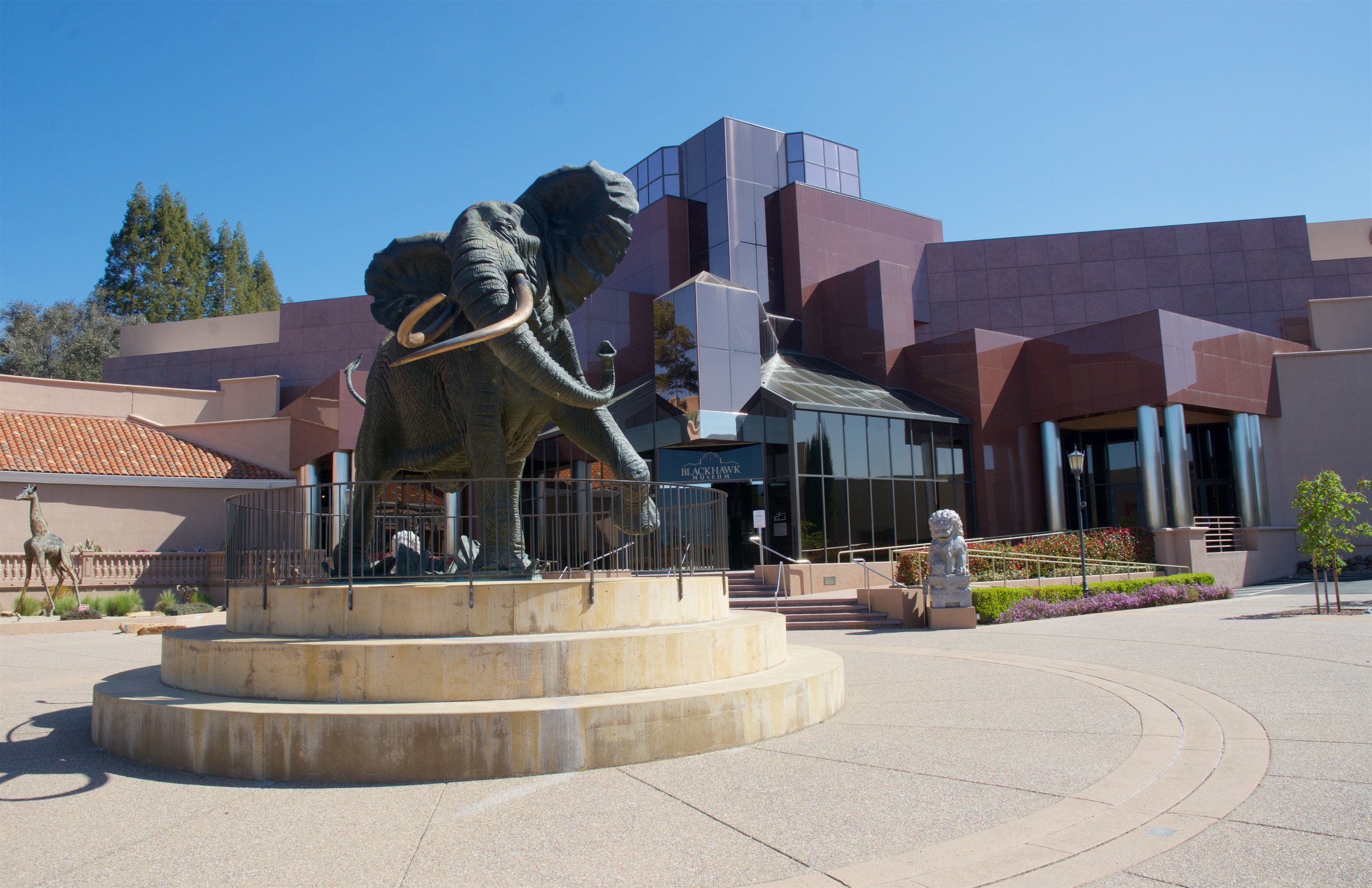 Worlds Await at the Blackhawk Museum in Danville, California - Vimarsana News