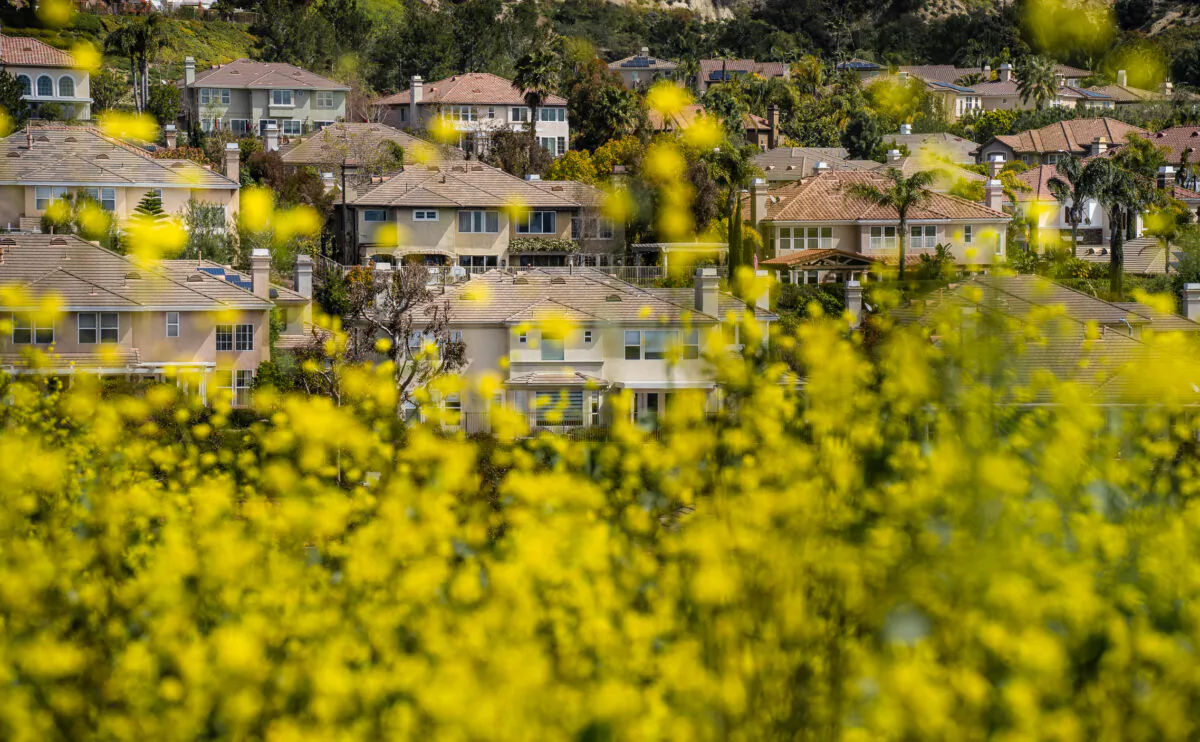 Flowers blow in the wind in Orange, Calif., on March 27, 2023. (John Fredricks/The Epoch Times)