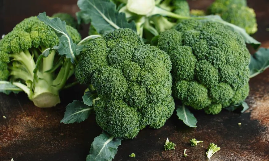 Anti-Cancer Soup: Creamy Broccoli