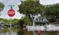 DeSantis Seeks Major Disaster Declaration From White House