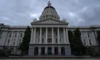 California Senate Approves Bill to Legalize Psychedelic Mushrooms