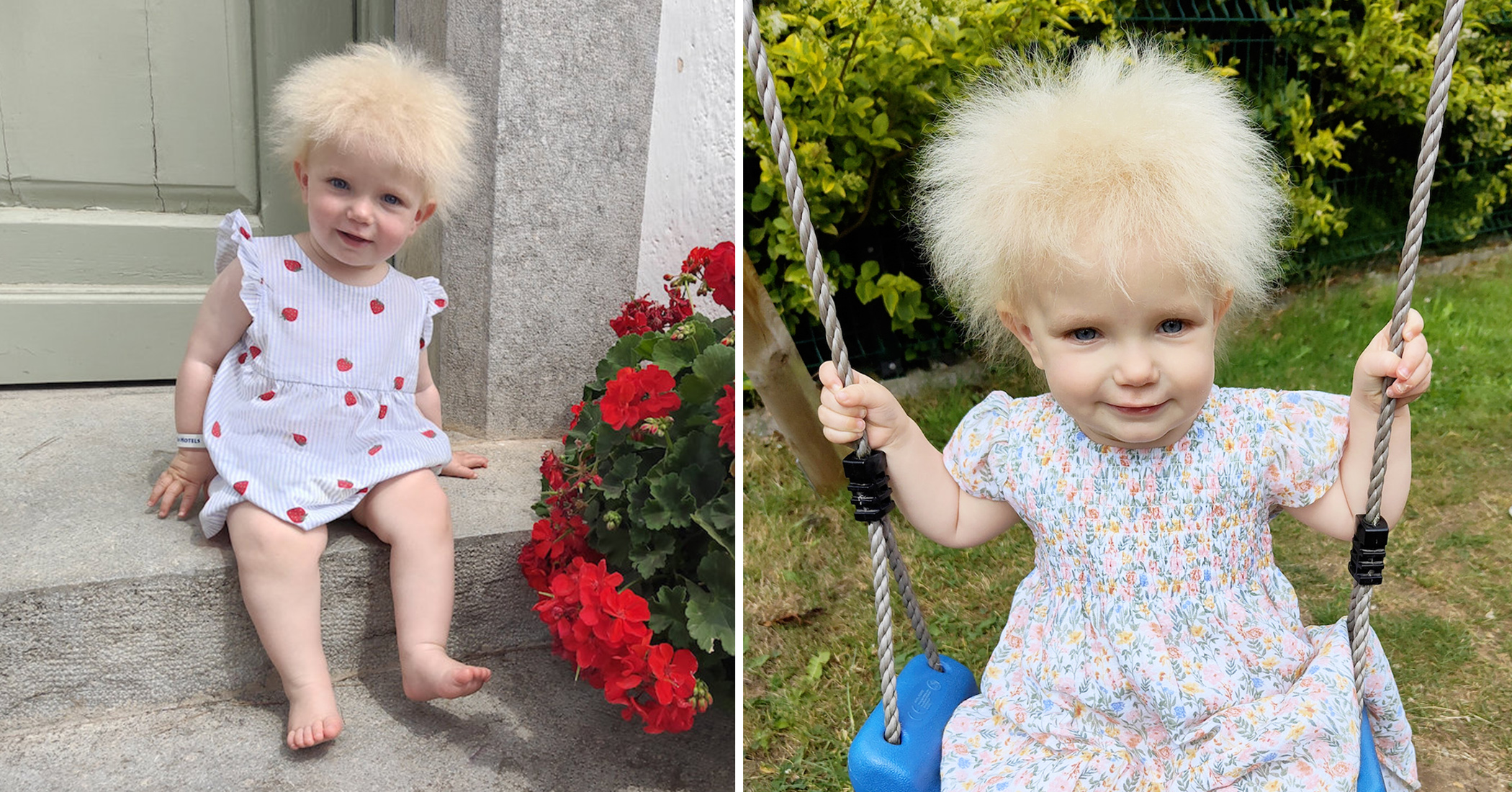 NextImg:Toddler has an epic mop of hair that defies all attempts to be combed straight (Photos)