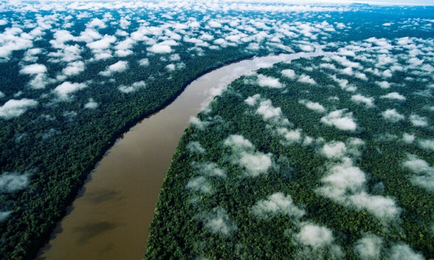 Film Review: ‘River’: Wonderment, Naval-Gazing, and Ecological Flummery