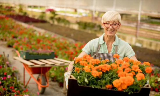 The Art of Companion Planting, Part 1: Flowers