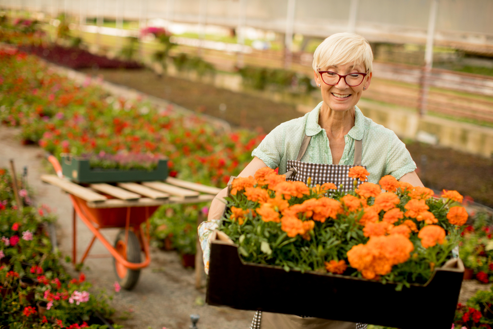 NextImg:The Art of Companion Planting, Part 1: Flowers