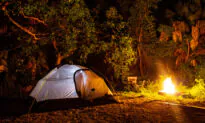 No Wonder You Had Such a Hard Time Making Camping Reservations Last Summer