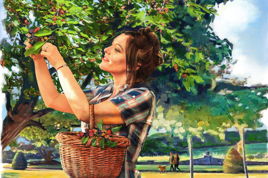 Foraging is possible every month of the year, and there are plenty of resources to help beginners get started. (Biba Kayewich)