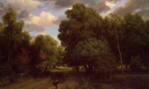 Book Review: ‘The Power of Trees: How Ancient Forests Can Save Us if We Let Them’