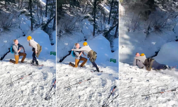 Couple's Romantic Mountain Proposal Turns Chaotic, Includes Moose Charge and Momentary Ring Loss