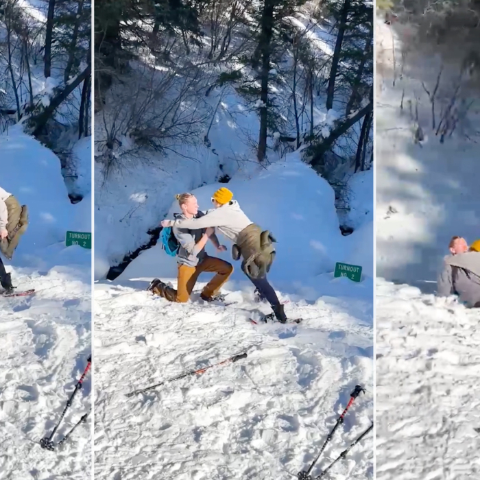 Couple's Romantic Mountain Proposal Turns Chaotic, Includes Moose