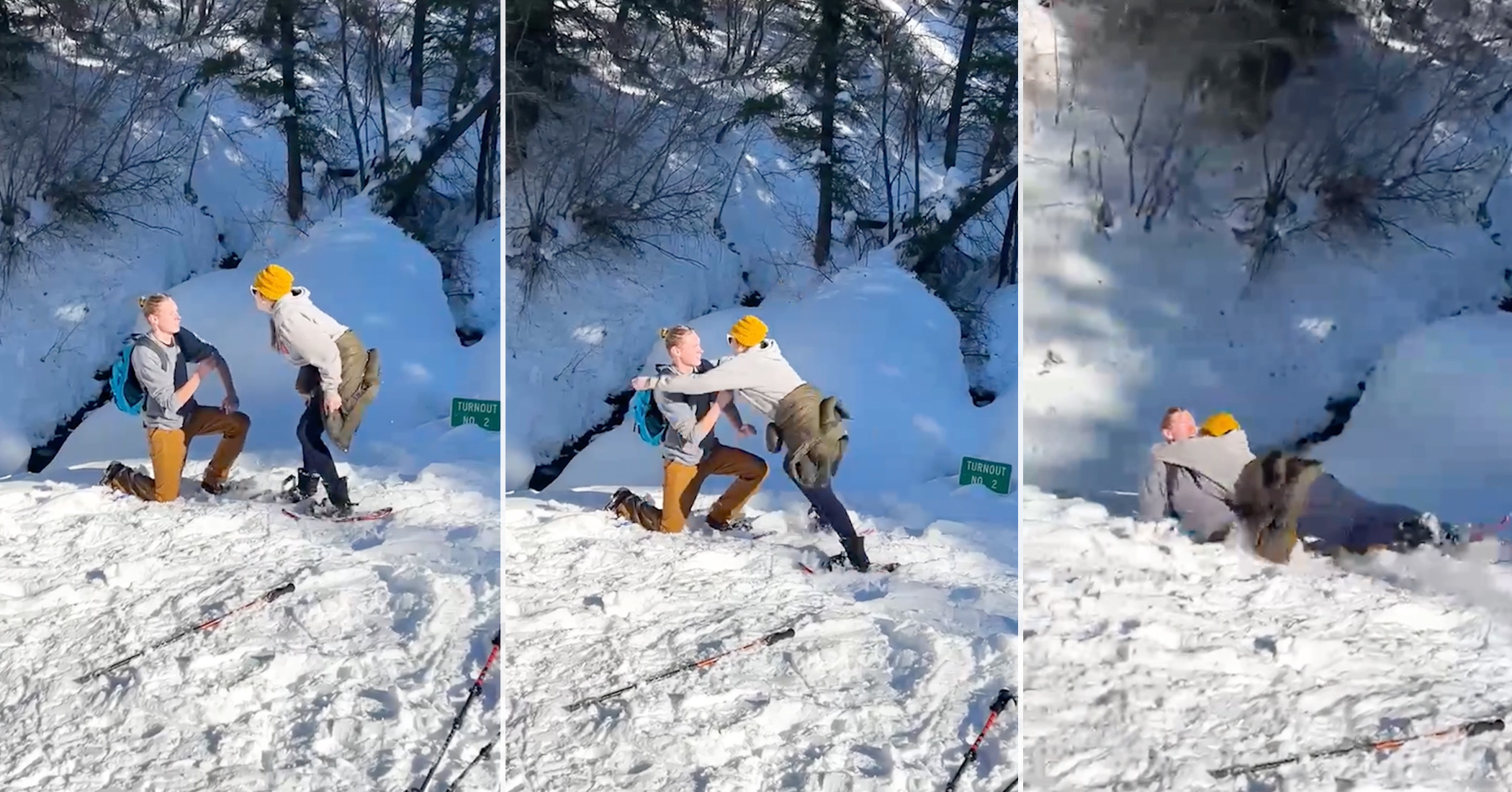 NextImg:Couple’s romantic mountain proposal turns chaotic, includes moose charge and momentary ring loss