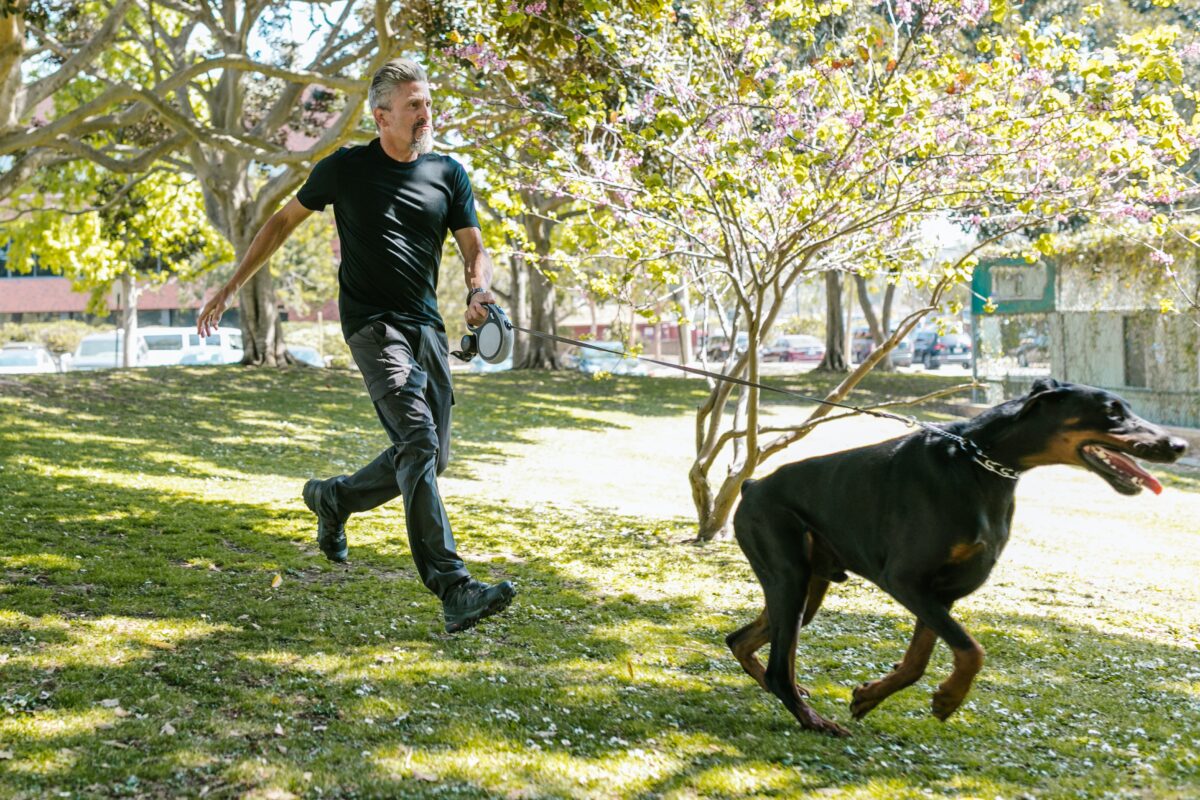 NextImg:3 Injuries: How People Get Hurt While Walking the Dog