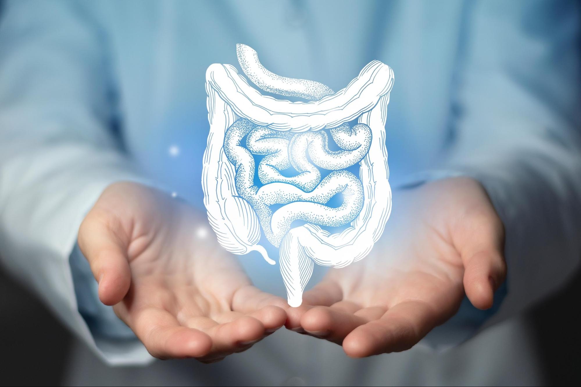 Lifestyle Tips for a Healthy Bowel and Reduced Risk of Colorectal Cancer - Vimarsana News