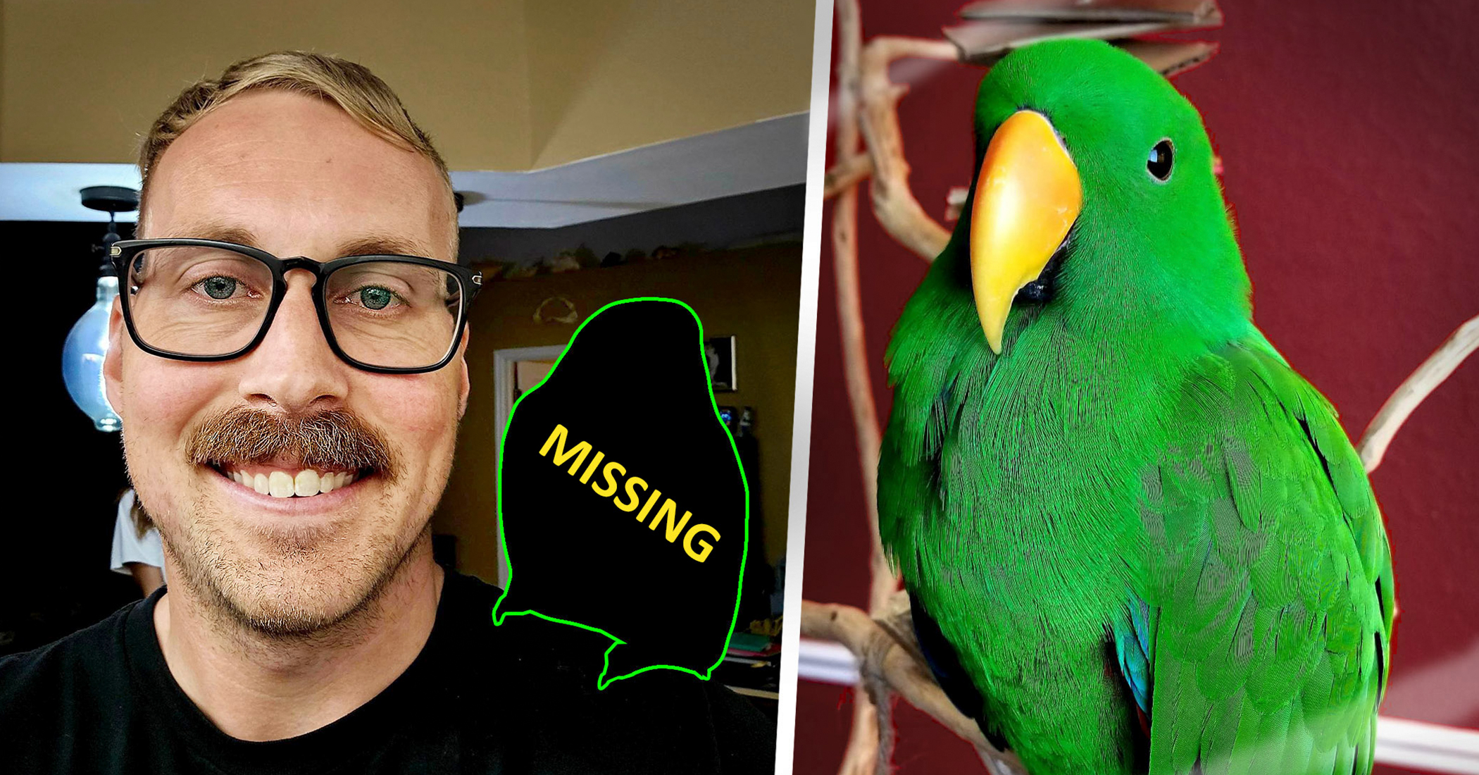 NextImg:Lost talking parrot reunites with worried owner after asking for Florida neighbor's help: 'peekaboo'