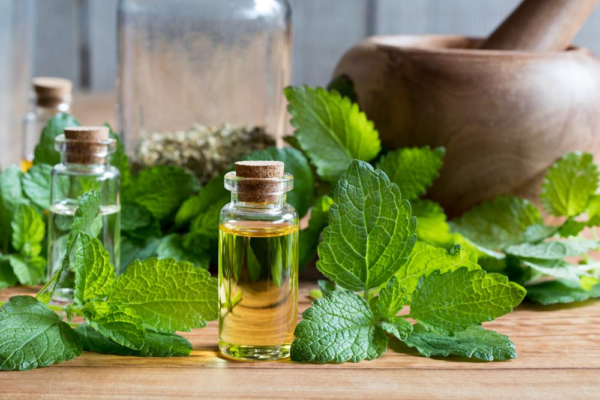 Sleeping Pill Side Effects? Try Fragrant Herbs to Help You Sleep Until Dawn