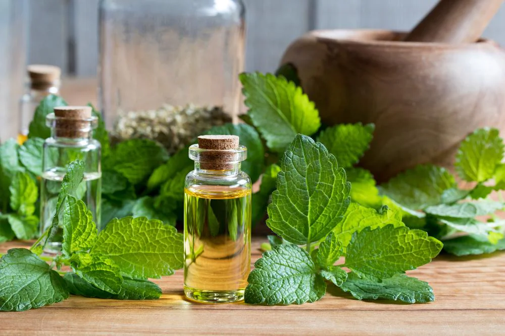 Erica Kuo, an educationist of herbal aromatherapy, said that clinical herbalism treats the symptoms of the human body from a holistic perspective and can help insomniacs fall asleep. (Madeleine Steinbach/Shutterstock)
