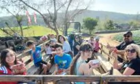 Fun Things to Do in Orange County This Weekend