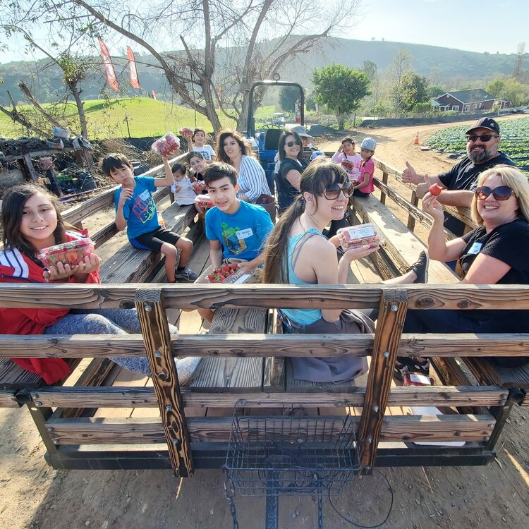 NextImg:Fun Things to Do in Orange County This Weekend