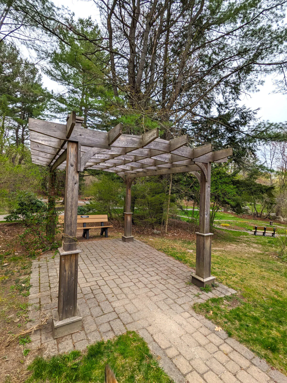 While this weathered pergola looks challenging to build, you should think of the job like eating an elephant. Pachyderms are best eaten one bite at a time. (Tim Carter/Tribune Content Agency)