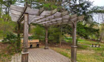 Your New Patio Pergola