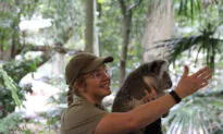 In Friendly Brisbane, Discover Something You’ve Never Tried Before