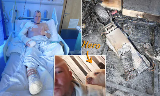 ‘Hero Dog’ Dies Saving Owner From Devastating Apartment Fire Caused by E-scooter Battery