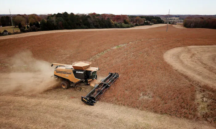 Farmer Lucas Richard of LFR Grain harvests a crop of soybeans at a farm in Hickory, N.C., on Nov. 29, 2018. (Charles Mostoller/Reuters)