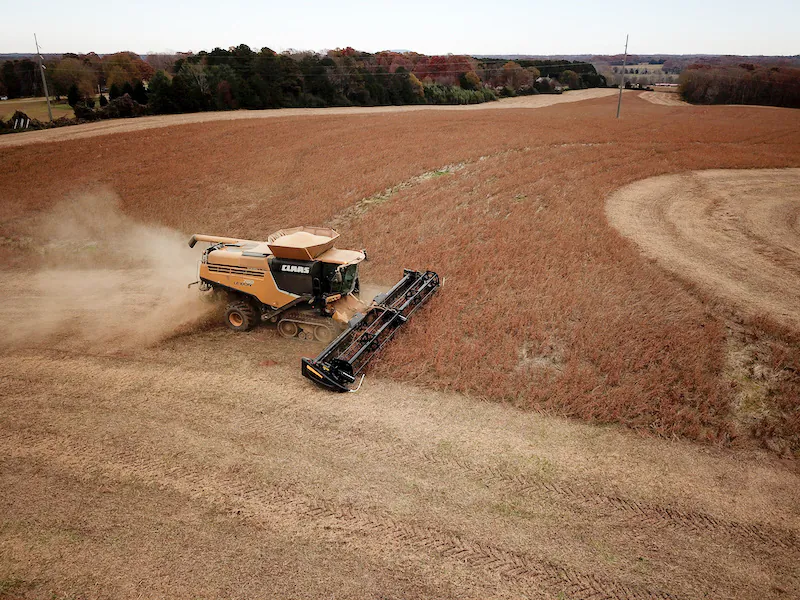 Farmer Lucas Richard of LFR Grain harvests a crop of soybeans at a farm in Hickory, N.C., on Nov. 29, 2018. (Charles Mostoller/Reuters)