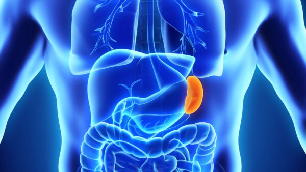 Large Amount of COVID Virus Goes to This Critical Organ, Not the Heart