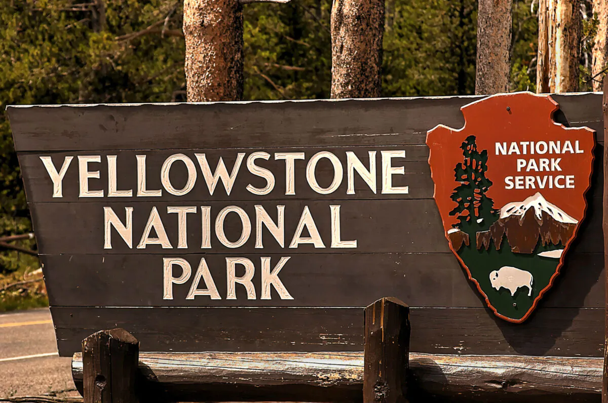 Yellowstone National Park is a nearly 3,500-square-mile wilderness recreation area atop a volcanic hot spot. (Dreamstime/TNS)