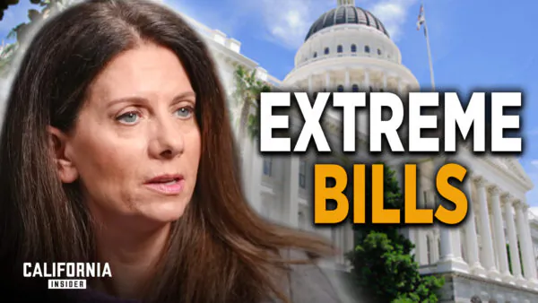 Ex-Lawmaker Issues Dire Warning on New California Laws | Melissa Melendez