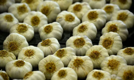 Australian Garlic Can Eliminate 99.9 Percent of COVID-19, Flu Cells: Scientists