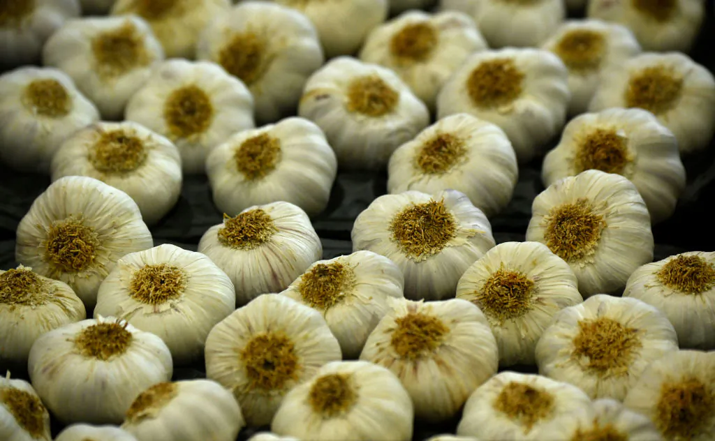 Garlic is presented at the booth of La Veguilla during the opening day on of the Fruit Logistica fair in Berlin, Germany on April 5, 2022. (Tobias Schwarz/AFP via Getty Images)