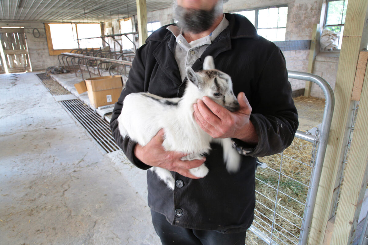 Epoch Times Photo