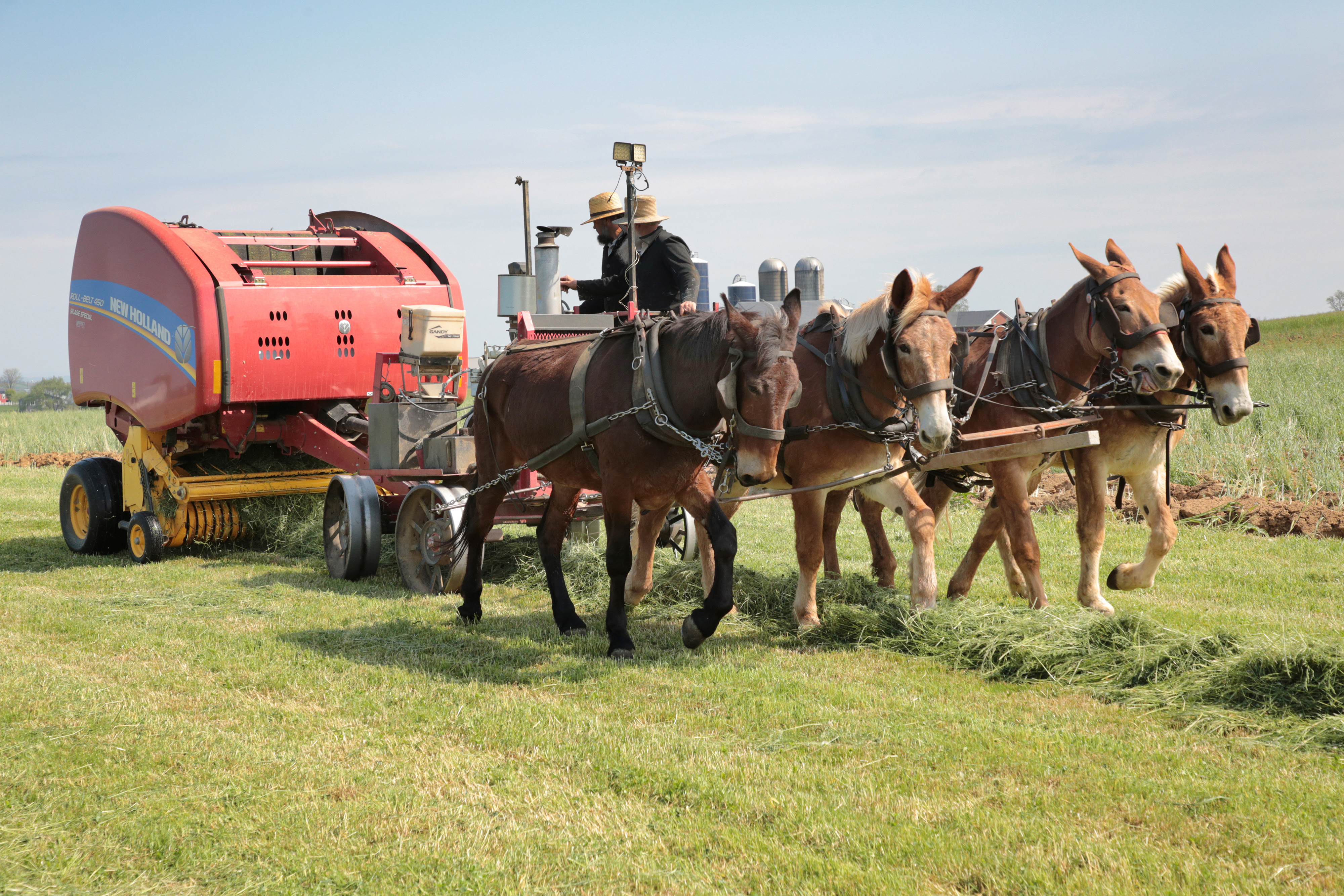 IN-DEPTH: Pennsylvania Amish Kept True to Their Traditions—Then the Government Came - Vimarsana News