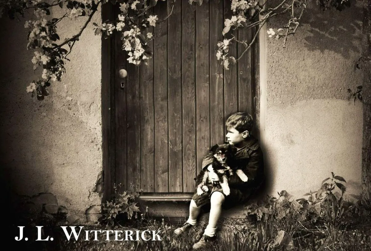 The image on the hardcover edition of "My Mother's Secret" by J.L. Witterick. 