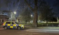 Man Arrested Outside Buckingham Palace After Shotgun Cartridges Thrown Over Fence