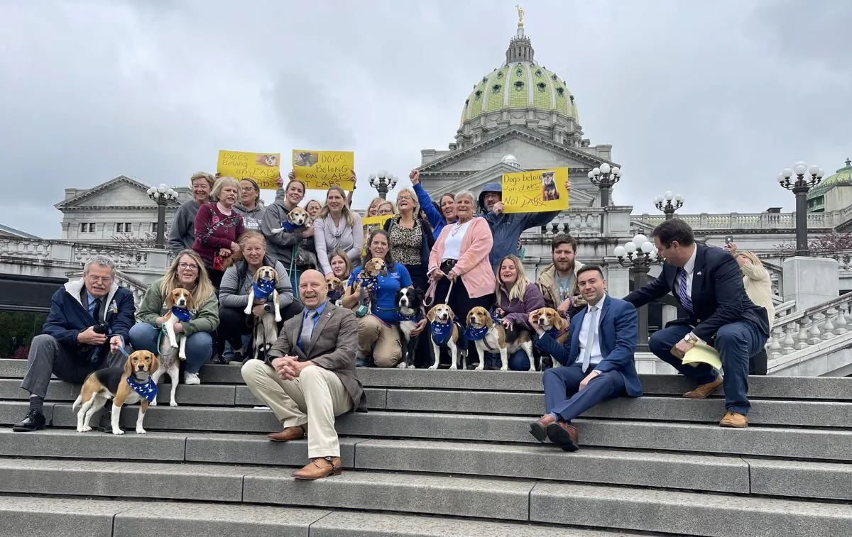 Pennsylvania Sen. Doug Mastriano with supporters of his bill, Senate Bill 658, that would prevent institutions from using state funds to support painful experimentation on dogs and cats, at the Pennsylvania Capitol in Harrisburg on May 2, 2023. The beagles pictured were among 4,000 rescued from a Virginia breeding facility for dogs used in experimentation. (Courtesy of Sen. Doug Mastriano)