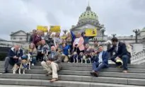 Pennsylvania Bill Would Curtail State Funding for Lab Experiments on Dogs and Cats
