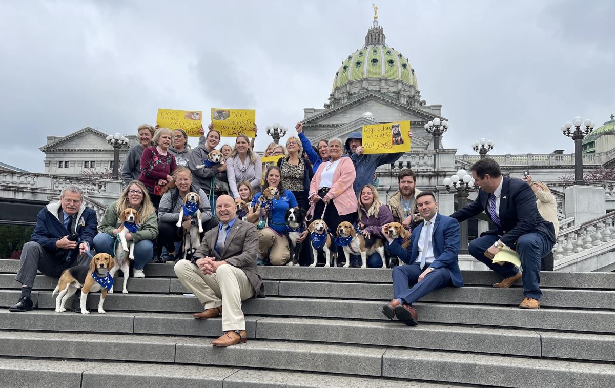 Pennsylvania Bill Would Curtail State Funding for Lab Experiments on Dogs and Cats - Vimarsana News