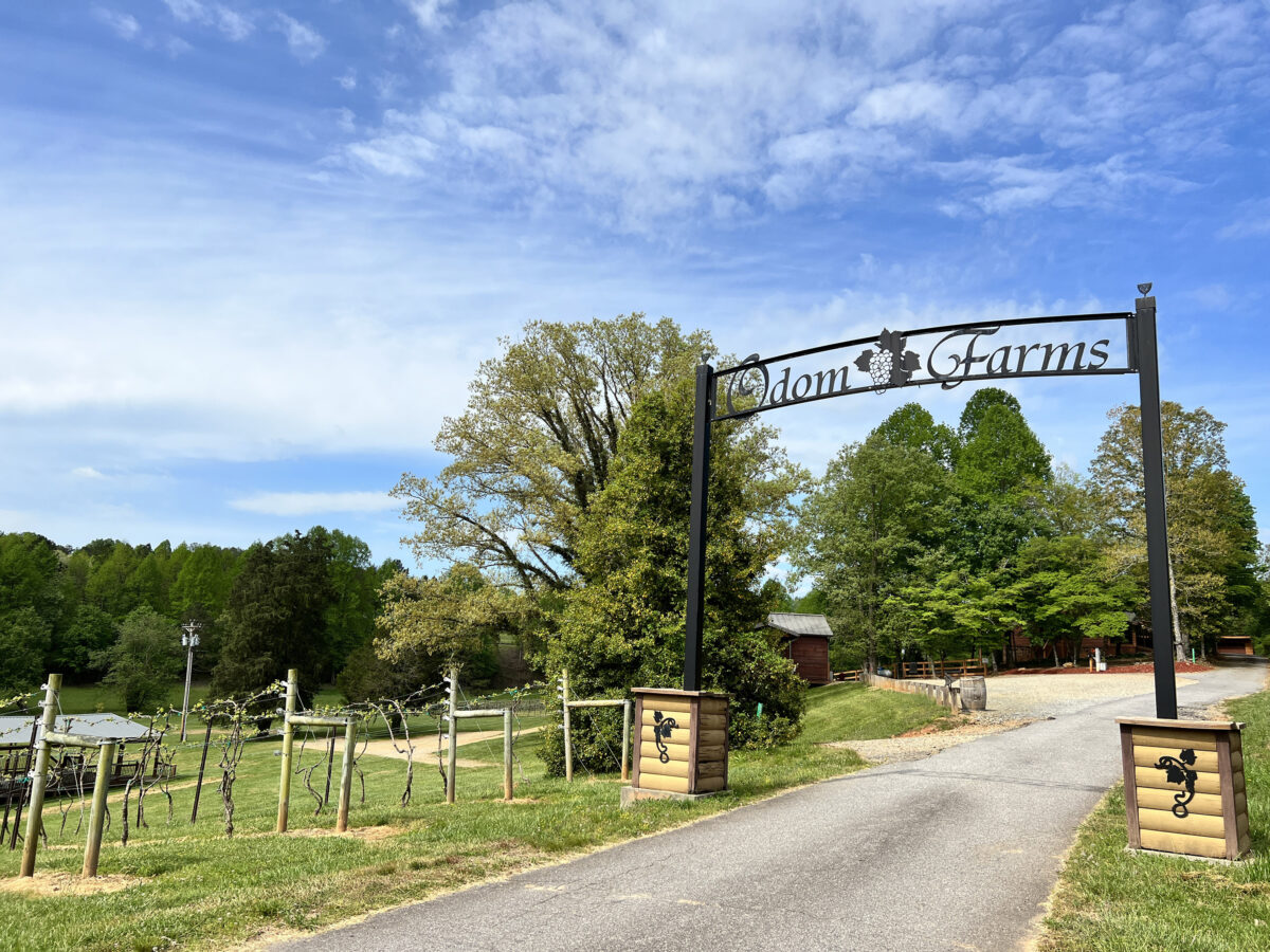 NextImg:Historic, Spirited Blairsville Offers an Endless Supply of Georgia's Mountain Culture