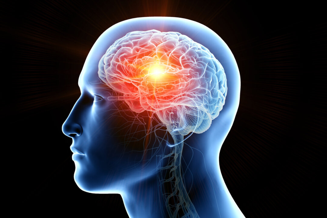 (SciePro/Shutterstock)